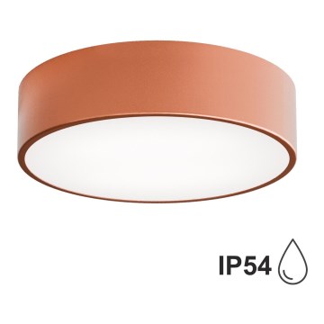 Plafonieră de baie CLEO cu senzor, Ø30 cm, 2x E27, 24W, 230V, finisaj cupru, IP54
