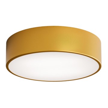 Plafonieră de exterior cu senzor CLEO 2xE27/24W/230V d. 30 cm aurie IP54