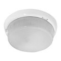 Plafonieră de exterior GENTLEMAN 1xE27/100W/230V IP44 albă