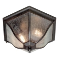 Plafonieră de exterior NEW Elstead ENGLAND 2xE27/60W/230V IP44