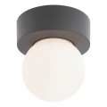 Plafonieră de exterior Redo 90641 BULK 1xE27/28W/230V IP44 antracit