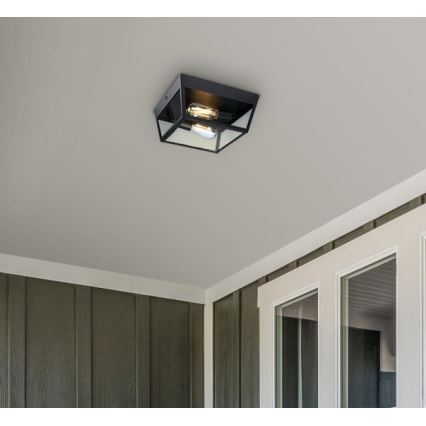 Plafonieră de exterior Westinghouse 61219 PETERSON 2xE27/40W/230V IP44