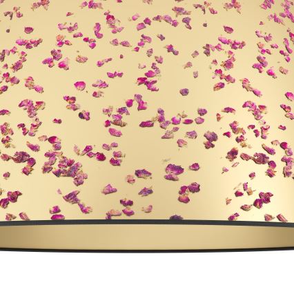 Plafonieră Eglo 1xE27/25W/230V auriu/roz