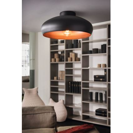 Plafonieră Eglo 1xE27/60W/230V