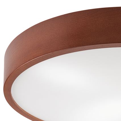 Plafonieră EVELINA 4xE27/60W/230V