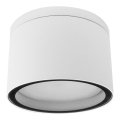 Plafonieră exterior ARON 1xGX53/15W/230V IP54