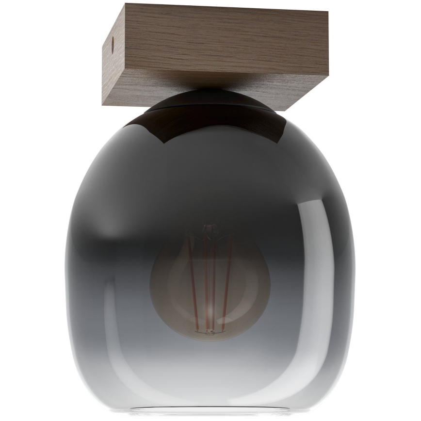 Plafonieră Eglo 1xE27/40W/230V