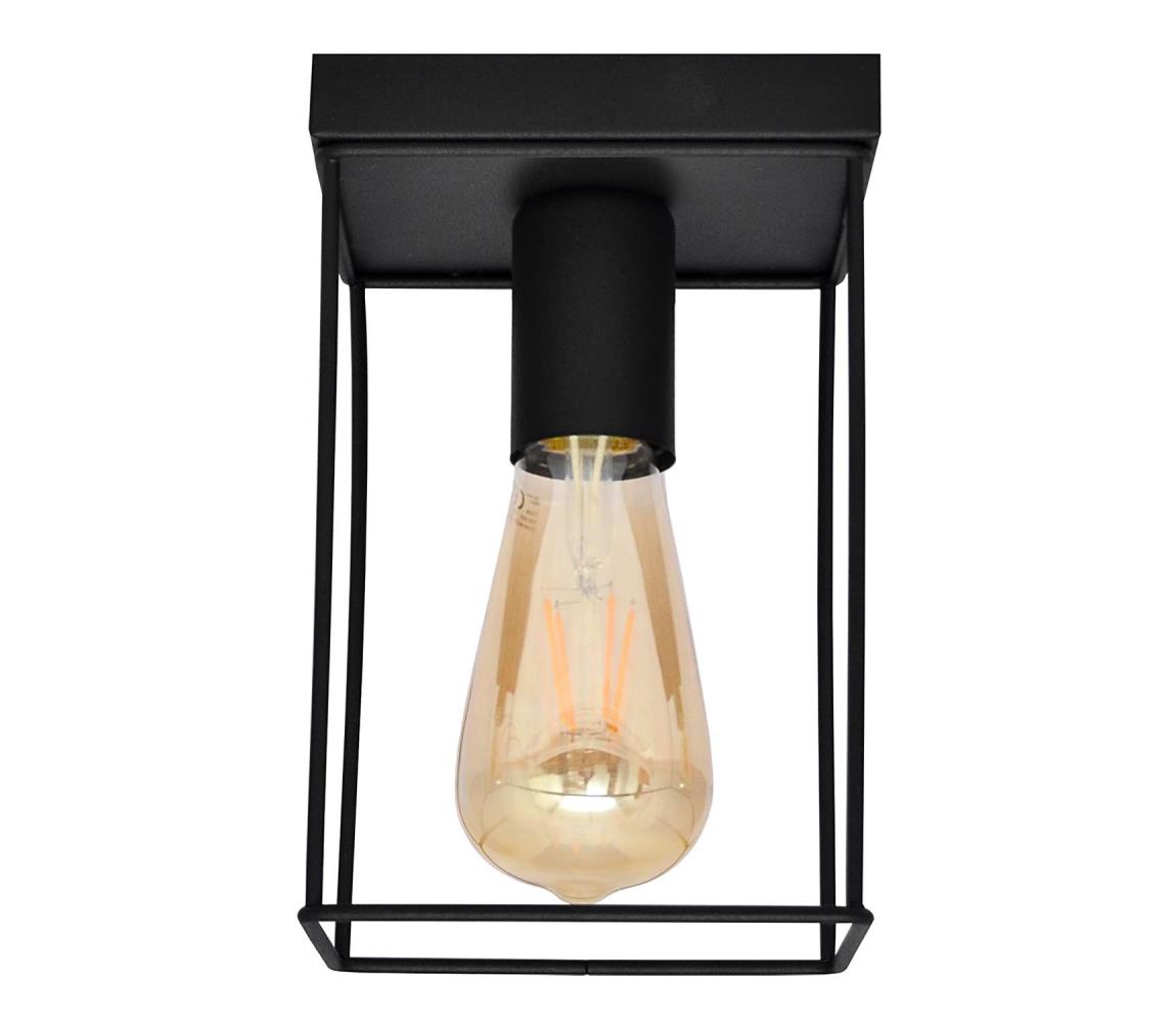 Plafonieră FINN 1xGX53/10W/230V negru