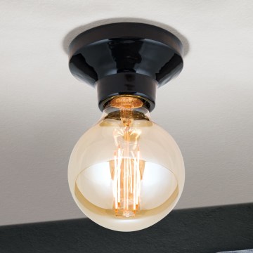 Plafonieră FROST 1xE27/60W/230V neagră