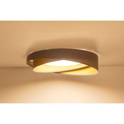 Plafonieră GALAXY MODERN LED/24W/230V Ø 55 cm gri/auriu