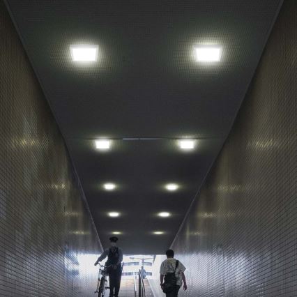 Plafonieră LED/12W/230V 6500K 16,7x16,7 cm alb