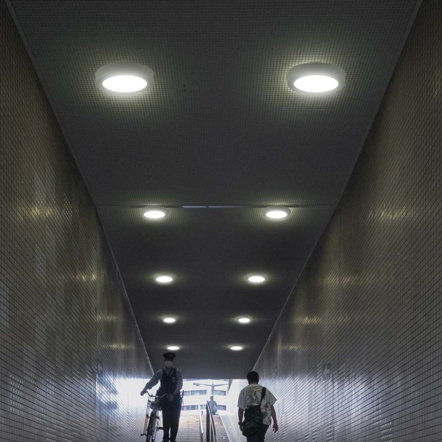 Plafonieră LED/12W/230V 6500K alb