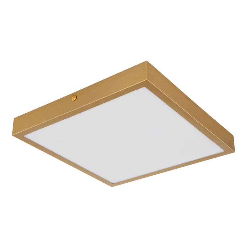 Plafonieră LED/15W/230V 25x25 cm Globo