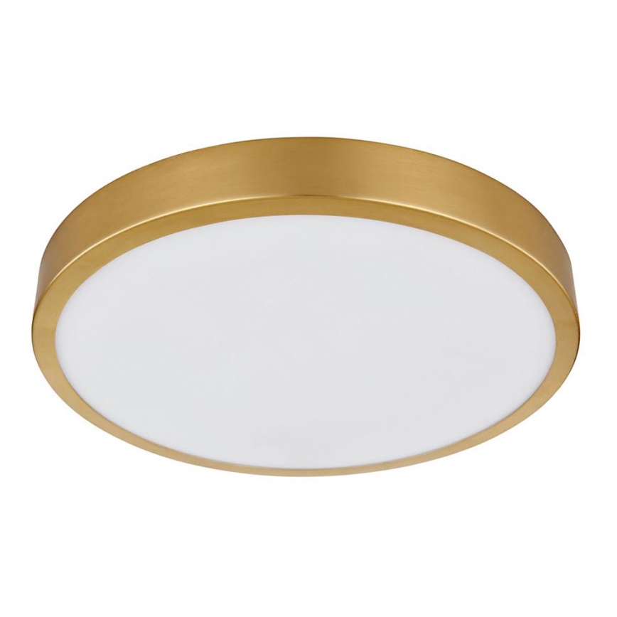 Plafonieră LED/15W/230V d. 25 cm Globo