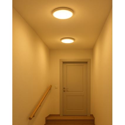 Plafonieră LED 18 W, 230 V, 3000/4000/6500 K, Ø 23 cm, alb