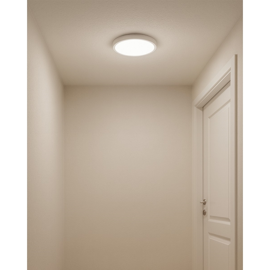 Plafonieră LED 18 W, 230 V, 3000/4000/6500 K, Ø 23 cm, alb
