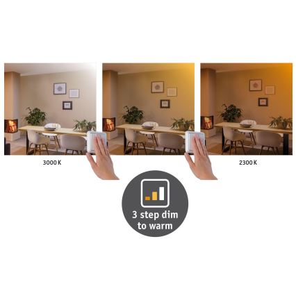 Plafonieră LED/19W Paulmann 79799 CARPO 230V 2300/2500/3000K