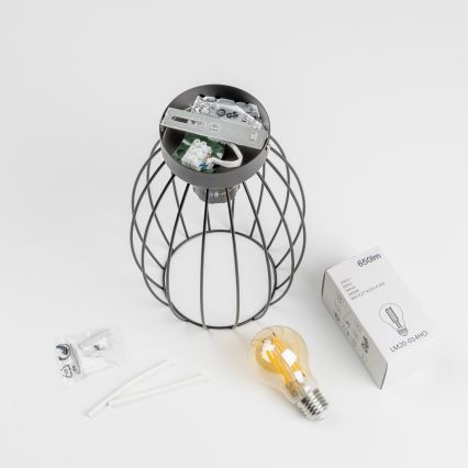 Plafonieră LED 1xE27/6,5W/230V neagră