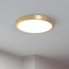 Plafonieră LED/20,5W/230V d. 28,5 cm Eglo