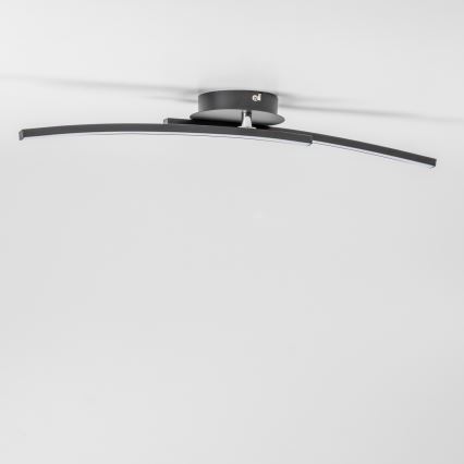 Plafonieră LED 2x6W/230V neagră