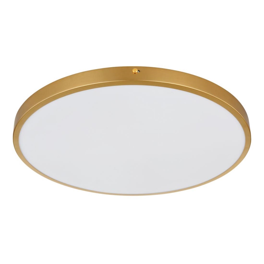 Plafonieră LED/30W/230V d. 45 cm Globo