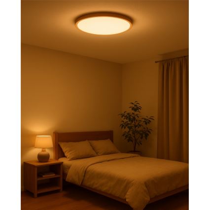 Plafonieră LED, 40 W, 230 V, 3000/4000/6500 K, Ø 50 cm, bej