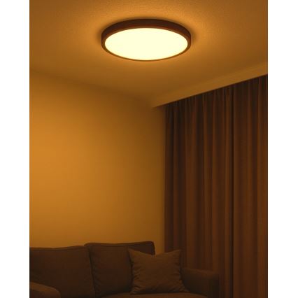 Plafonieră LED 40W, 230V, 3000/4000/6500K, Ø 50 cm, maro
