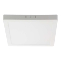 Plafonieră LED/6W/230V 6500K 12x12 cm alb