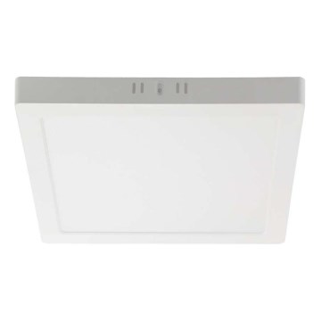 Plafonieră LED/6W/230V 6500K 12x12 cm alb