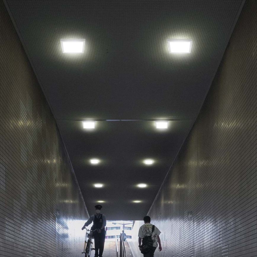 Plafonieră LED/6W/230V 6500K 12x12 cm alb