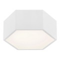 Plafonieră LED ARIZONA LED/9W/230V albă Argon 3828