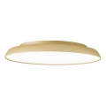 Plafonieră LED ART LED/21W/230V aurie