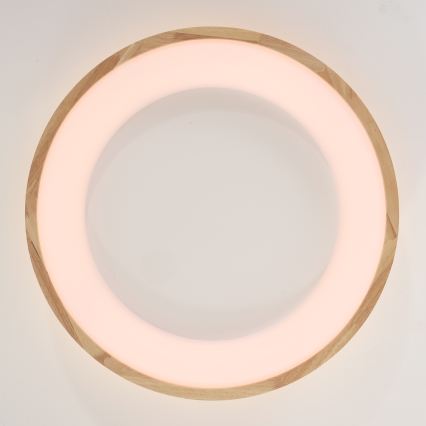 Brilagi - Plafonieră LED FALCON WOOD, 40 W, 230 V, 3000/4000/6000 K, Ø 60 cm, finisaj lemn