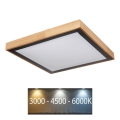 Plafonieră LED BRUNO LED/24W/230V 3000/4500/6000K Globo 41764-24Q