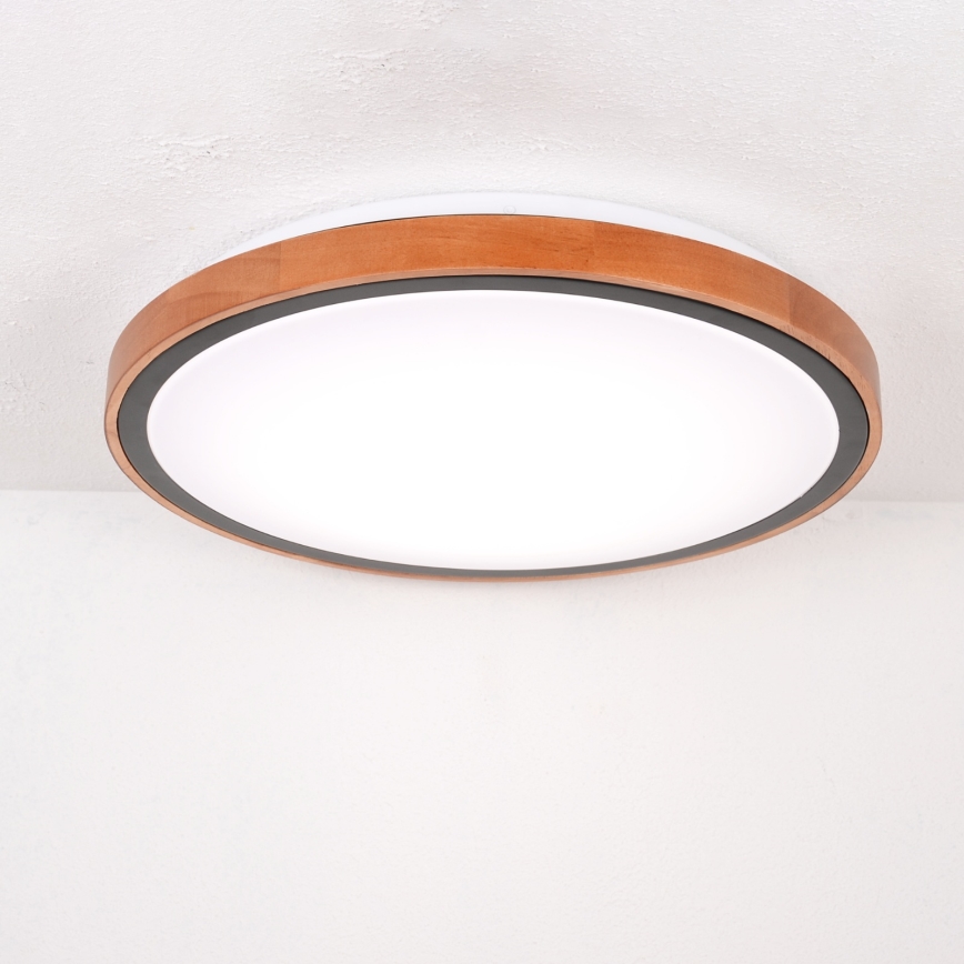 Plafonieră LED/24W/230V 437mm 3000/4500/6000K Globo