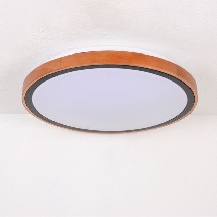 Plafonieră LED/24W/230V 437mm 3000/4500/6000K Globo