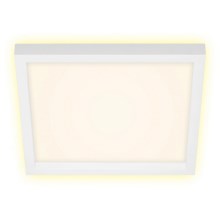Plafonieră LED CADRE LED/18W/230V d. 29,6x29,6 cm albă Briloner 7362-016