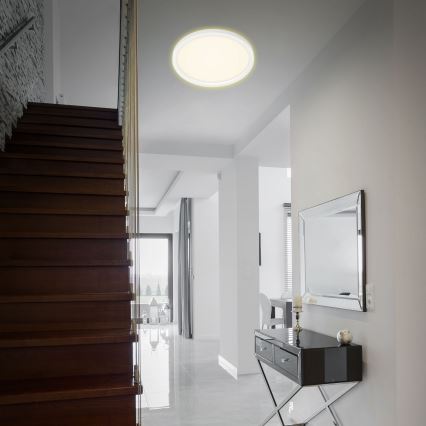 Plafonieră LED CADRE LED/22W/230V d. 42,5 cm albă Briloner 7363-016