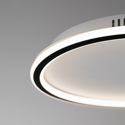 Plafonieră LED CALI, 30 W, 230 V, Ø 40 cm, negru