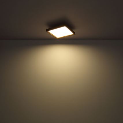 Plafonieră LED/36W/230V 60cm 2700/4500/6500K Globo