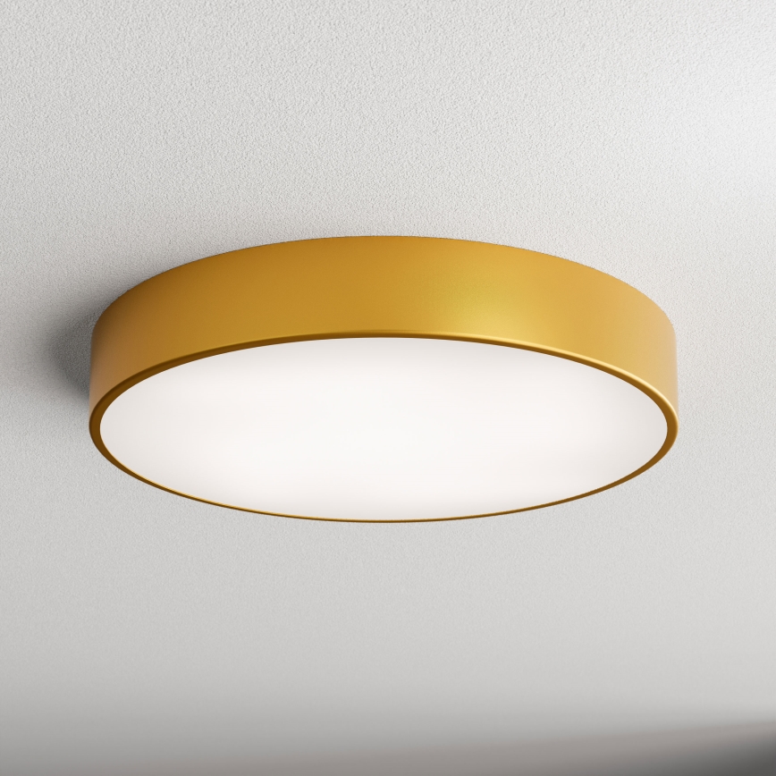 Plafonieră LED CLEO LED/69W/230V 4000K, diametru 50 cm, auriu
