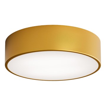 Plafonieră LED CLEO LED/24W/230V 3000K diam. 30 cm auriu