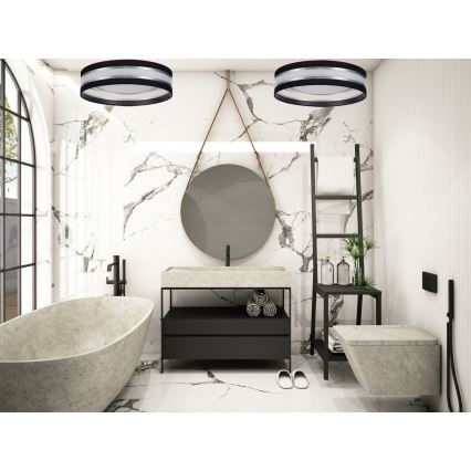 Plafonieră LED CORAL 1xLED/24W/230V neagră/argintie