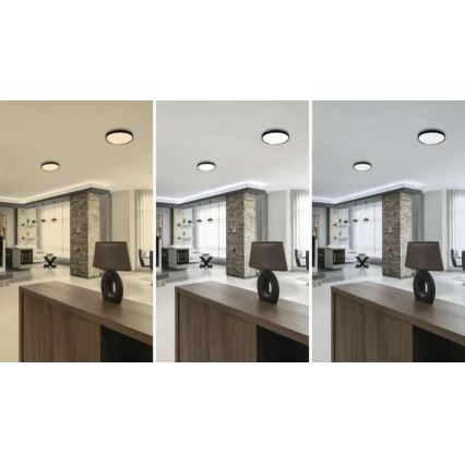 Plafonieră LED reglabilă pentru tavan ILVI LED/30W/230V 2700-6500K diam. 40 cm negru/bej + telecomandă