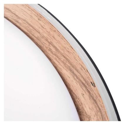 Plafonieră LED reglabilă pentru tavan ILVI LED/30W/230V 2700-6500K diam. 40 cm negru/bej + telecomandă
