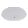 Plafonieră LED cu senzor de amurg și de mișcare MORETTI LED/24W/230V Ø 30 cm IP40 6500K