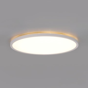 Plafonieră LED cu senzor de mișcare și crepuscular pentru baie NIVERA LED/24W/230V IP54 3000/4000/6000K d. 30 cm alb + telecomandă
