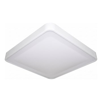 Plafonieră LED cu senzor de mișcare și de amurg WILTON LED/24W/230V 4000K 33x33 cm albă