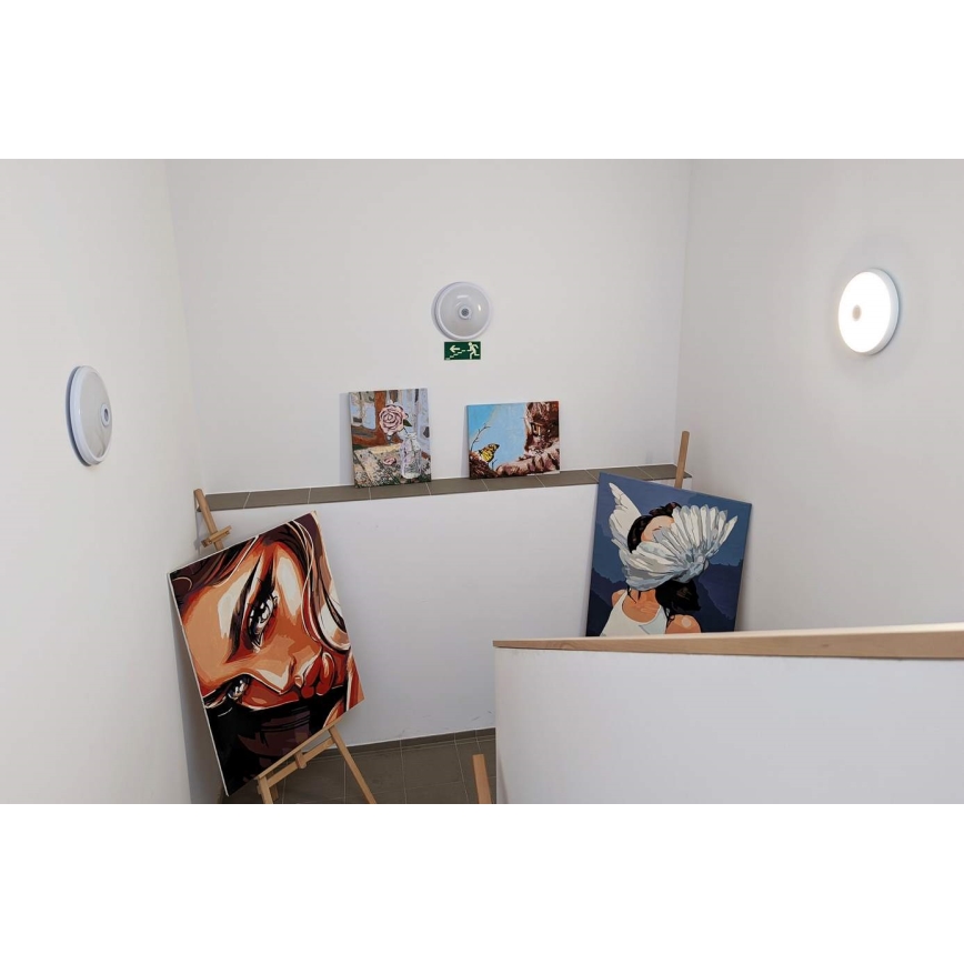 Plafonieră LED cu senzor de mișcare și senzor de amurg, 12W/230V, Ø 29 cm, alb