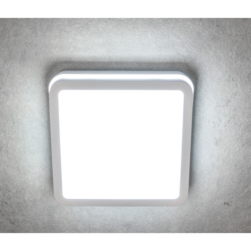 Plafonieră LED de exterior BENO LED/18W/230V 4000K albă IP54